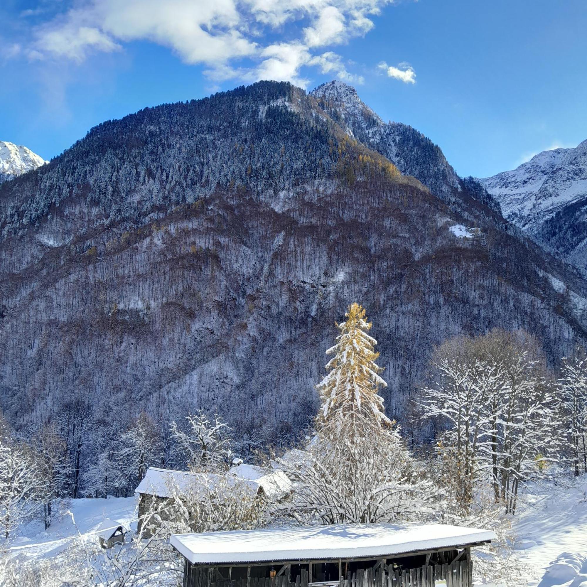 Casa All'Alpe Anzino Exterior photo